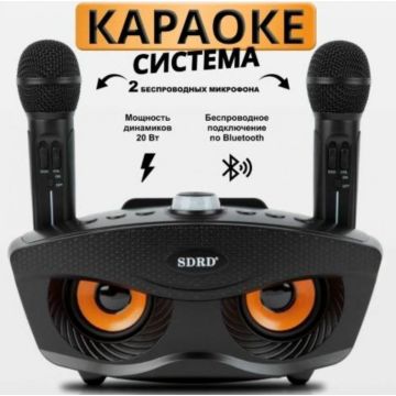 Караоке система с беспроводными микрофонами SDRS SD-306