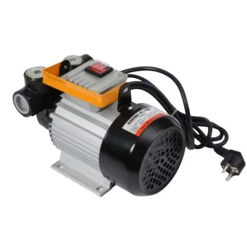 Насос для перекачки дизельного топлива 220V