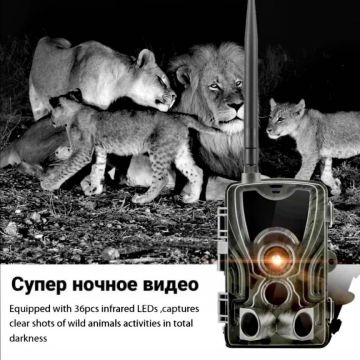 GSM 2G фотоловушка Suntek HC801M с функцией отправки фото и видео