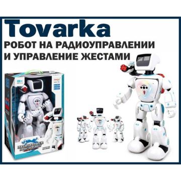 Робот на радиоуправлении,пульте управления 22005