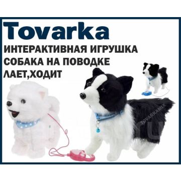 Интерактивная детская игрушка робот собака,питомец на поводке,щенок