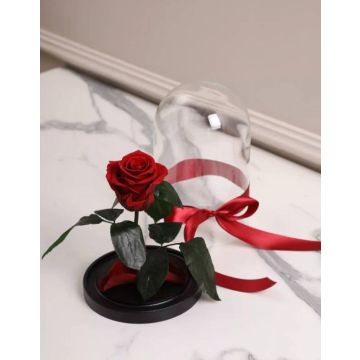 Живая вечная роза в колбе, цветы в стеклянной колбе, красная